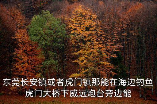東莞長安鎮或者虎門鎮那能在海邊釣魚虎門大橋下威遠炮臺旁邊能