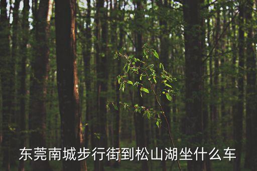 東莞南城步行街到松山湖坐什么車