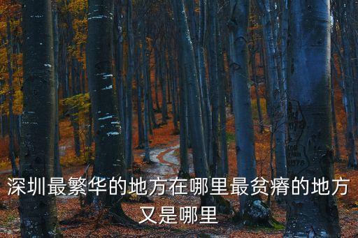 深圳最繁華的地方在哪里最貧瘠的地方又是哪里