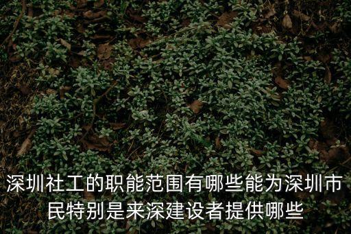 深圳社工的職能范圍有哪些能為深圳市民特別是來深建設者提供哪些