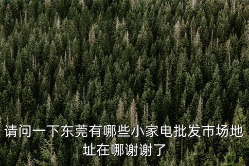 請問一下東莞有哪些小家電批發市場地址在哪謝謝了