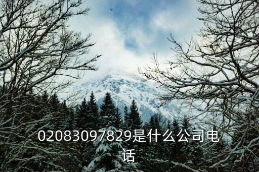 深圳賽諾爾包裝印刷材料有限公司，賽菲爾有限公司地址是哪