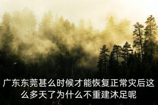 東莞沐足今日新聞，東莞鳳崗桑拿最新紅場小天137 熱情 1296 周到 7987實在歡迎