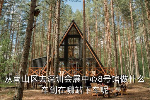 從南山區去深圳會展中心8號館做什么車到在哪站下車呢