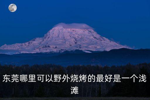東莞哪里可以野外燒烤的最好是一個淺灘