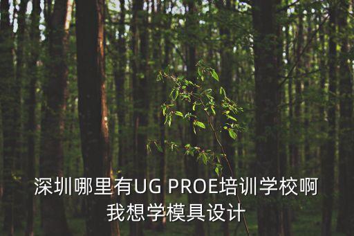 深圳哪里有UG PROE培訓學校啊我想學模具設計