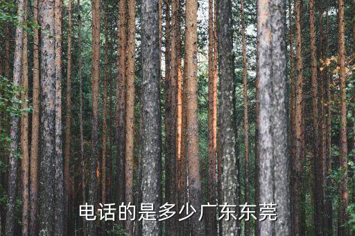 電話的是多少廣東東莞