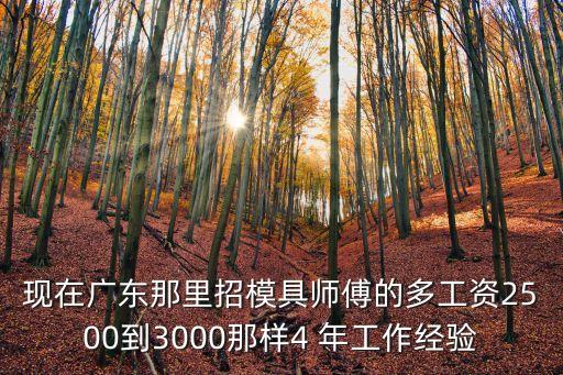 現在廣東那里招模具師傅的多工資2500到3000那樣4 年工作經驗