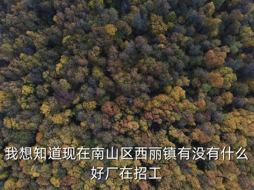 深圳南山西麗有什么廠招工，我想知道現在南山區西麗鎮有沒有什么好廠在招工