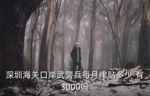 深圳海關(guān)口岸武警兵每月津貼多少 有3000嗎