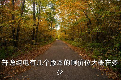 東莞軒逸純電動汽車，軒逸純電動怎么樣