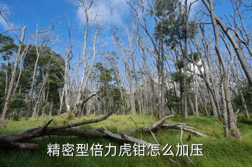 精密型倍力虎鉗怎么加壓