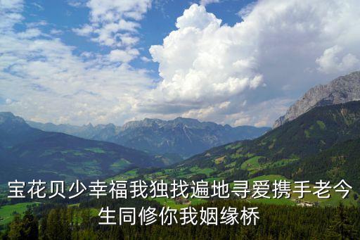 寶花貝少幸福我獨找遍地尋愛攜手老今生同修你我姻緣橋