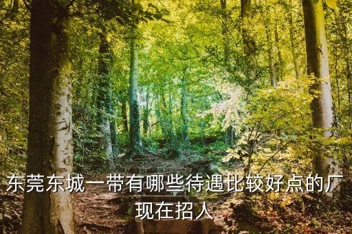 東莞東城一帶有哪些待遇比較好點的廠現在招人