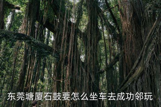 東莞塘廈石鼓要怎么坐車去成功鄰?fù)? class=