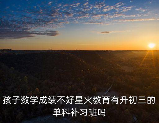孩子數(shù)學(xué)成績(jī)不好星火教育有升初三的單科補(bǔ)習(xí)班嗎