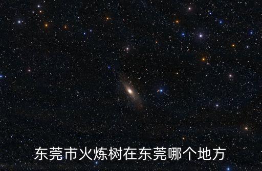 東莞區(qū)火煉樹新村路5號芙蓉興盛，有誰知道 武漢三六五電子商務(wù)有限公司 東莞分公司地址 詳細(xì)地址
