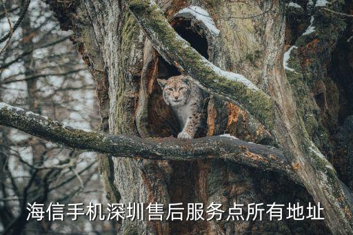 海信手機(jī)深圳售后服務(wù)點(diǎn)所有地址