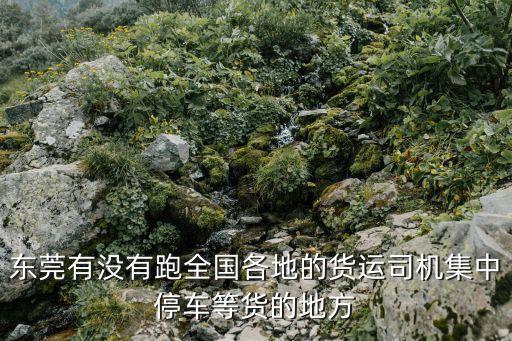 東莞有沒有跑全國各地的貨運司機集中停車等貨的地方