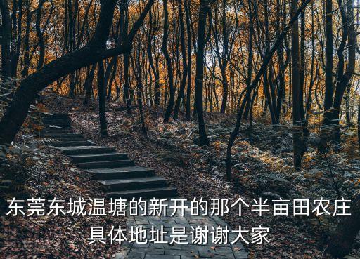 東莞禮紀鎮禮明村，在東莞南城區周溪社區這一片很亂嗎急我要去哪里上班了