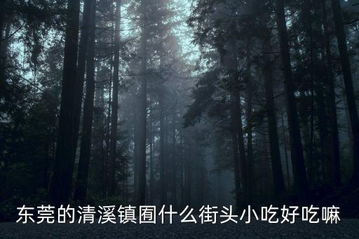 東莞厚街清溪美食街，東莞的清溪鎮(zhèn)囿什么街頭小吃好吃嘛