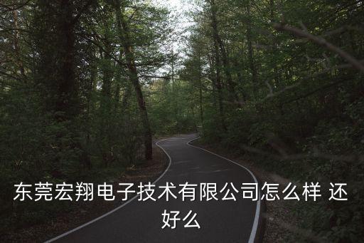 東莞宏揚工藝制品公司怎么樣，東莞宏翔電子技術有限公司怎么樣 還好么