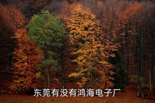 東莞有沒有鴻海電子廠