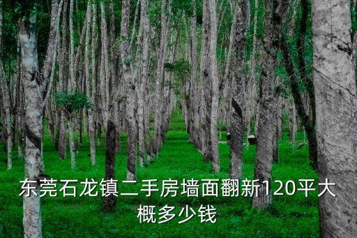東莞石龍鎮(zhèn)二手房墻面翻新120平大概多少錢