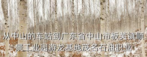 從中山的車站到廣東省中山市板芙鎮順景工業園游龍基地茂名石油職業