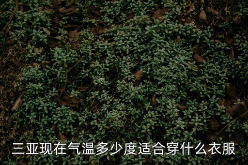 三亞現在氣溫多少度適合穿什么衣服