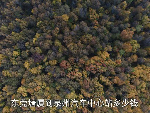東莞塘廈到泉州汽車中心站多少錢