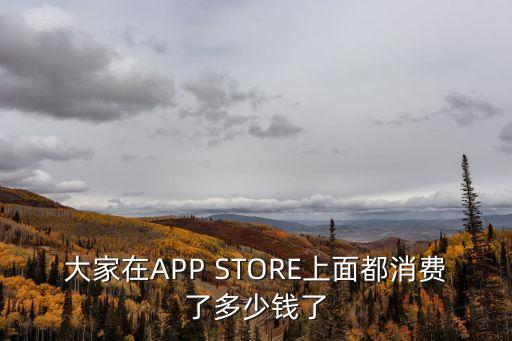 大家在APP STORE上面都消費(fèi)了多少錢了