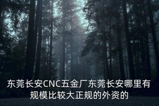 東莞cnc銑床自動化車間，東莞長安CNC五金廠東莞長安哪里有規模比較大正規的外資的