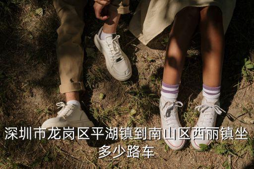 深圳平湖到西麗怎么坐，深圳市龍崗區平湖鎮到南山區西麗鎮坐多少路車