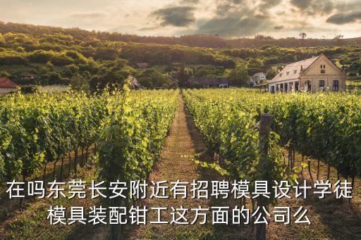 在嗎東莞長安附近有招聘模具設計學徒模具裝配鉗工這方面的公司么