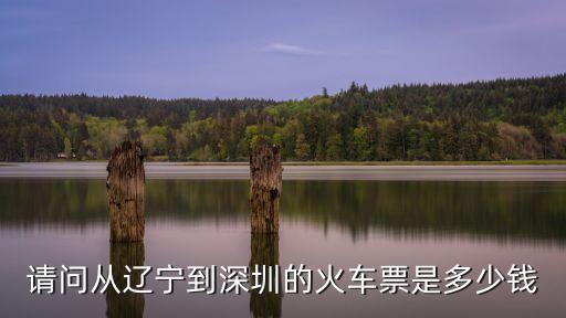 請問從遼寧到深圳的火車票是多少錢