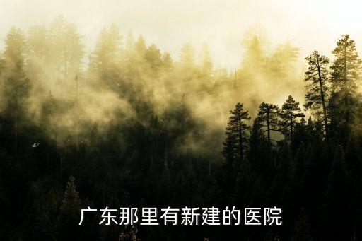 深圳中心城區(qū)新建醫(yī)院，深圳市龍華街道辦東環(huán)二路與龍觀東路交匯處旁邊是什么醫(yī)院