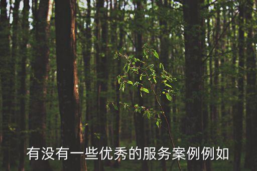 有沒有一些優(yōu)秀的服務(wù)案例例如