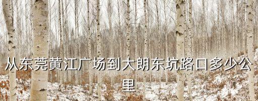從東莞黃江廣場(chǎng)到大朗東坑路口多少公里