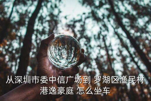 從深圳市委中信廣場到 羅湖區(qū)漁民村港逸豪庭 怎么坐車
