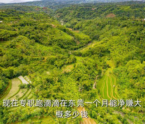 東莞8小時流水線一個月能掙多少，現在專職跑滴滴在東莞一個月能凈賺大概多少錢