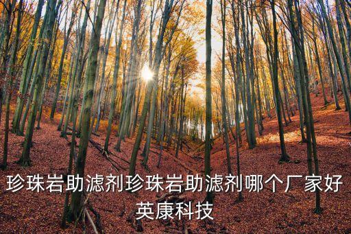 珍珠巖助濾劑珍珠巖助濾劑哪個廠家好英康科技