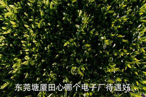 東莞塘廈田心哪個電子廠待遇好