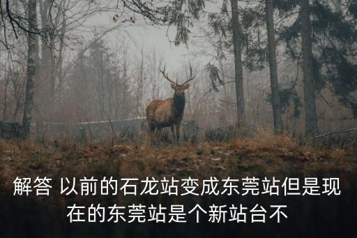 東莞厚街石龍高鐵站規劃，解答 以前的石龍站變成東莞站但是現在的東莞站是個新站臺不