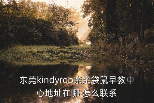 東莞kindyroo親親袋鼠早教中心地址在哪 怎么聯系