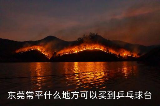 東莞麻涌鎮(zhèn)紅雙喜乒乓球桌，在東莞麻涌鎮(zhèn)沿江路怎樣坐車去廣州