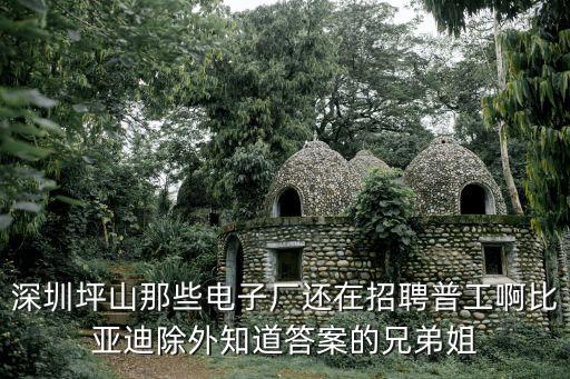 深圳坪山那些電子廠還在招聘普工啊比亞迪除外知道答案的兄弟姐