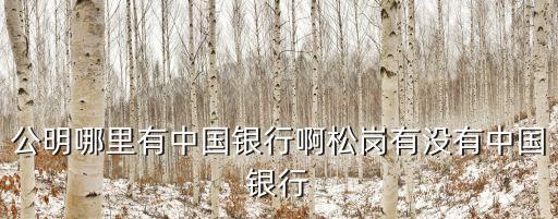 深圳松崗江邊的中國銀行，深圳松崗中國銀行在那