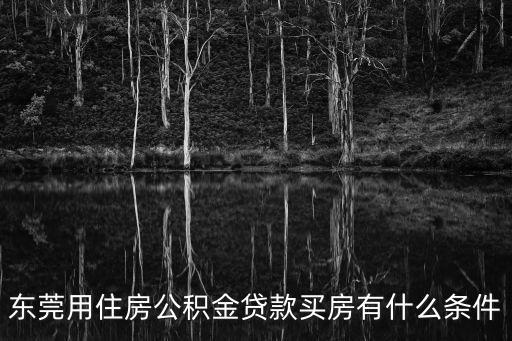 東莞用住房公積金貸款買房有什么條件