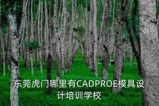 東莞哪里有cad培訓中心，求我想考個CAD證書 請問東莞市哪里有的考這個證書的 求詳細地址